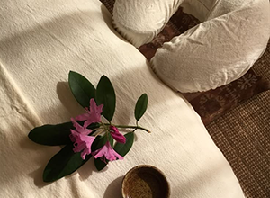 - D.WELL Lancaster, PA A massage table with a white sheet, a face cradle, a small pink flower sprig, and a ceramic cup for mind and body wellness. - D.WELL Lancaster, PA